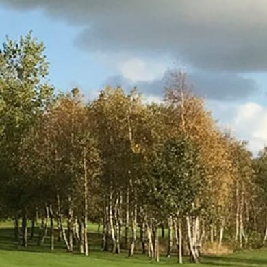 Leeuwarder Golfclub De Groene Ster (Par 3)