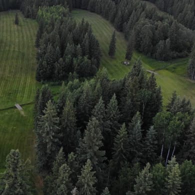 Blueberry Hill Golf Course