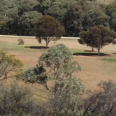 Orroroo Golf Club