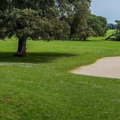 Brioni Golf Course - Brijuni Park