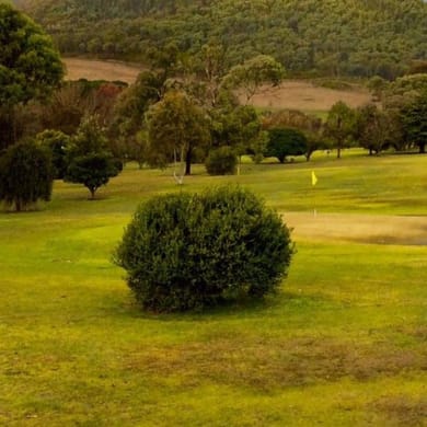 Talbingo Golf Club