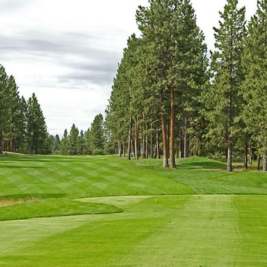 Widgi Creek Golf Club