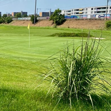 Golfzentrum Rheinfelden