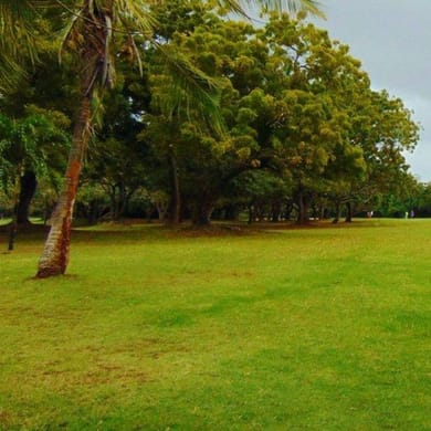 Nyali Golf & Country Club