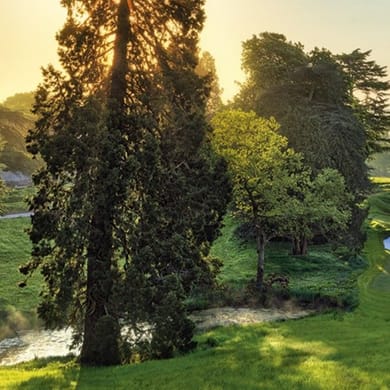 JCB Golf & Country Club