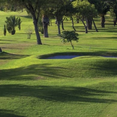 Royal Malta Golf Club