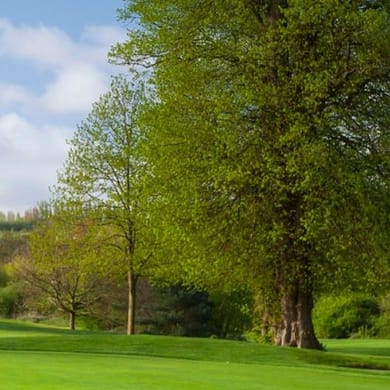 Tudor Park Marriott Hotel & Country Club