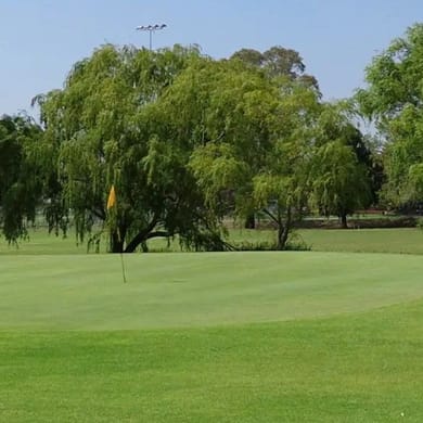 Singleton Golf Club