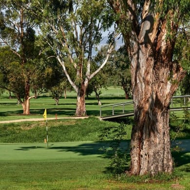 Scone Golf Club