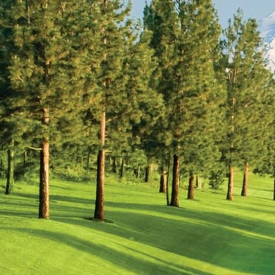 River's Edge Golf Course