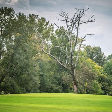 Clear Creek Golf Club