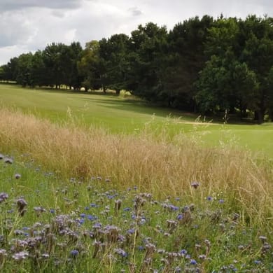 Golf de Fréhel - Sables d'Or Les Pins