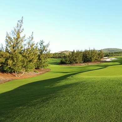 Sonadezi Chau Duc Golf Course