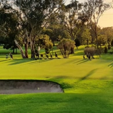 Albury Commercial Golf Course