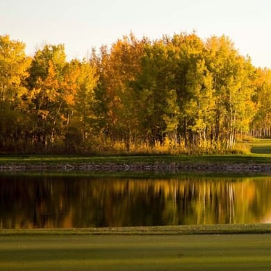 Serenity Golf Club (Sun Catcher)