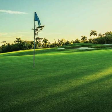 The Belvedere Golf & Country Club