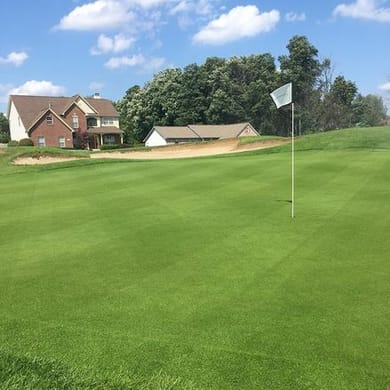 Saddlebrook Golf Club