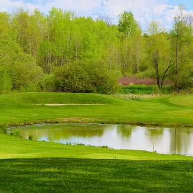 Thousand Islands Country Club (Old)