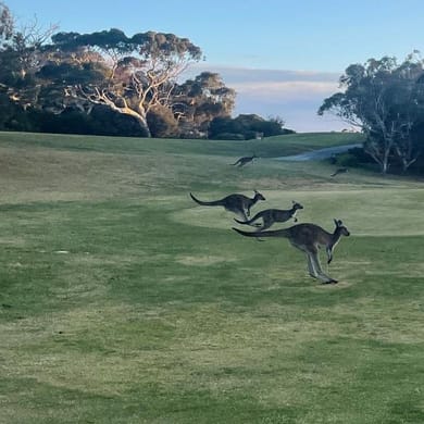 Wirrina Cove Golf & Country Club