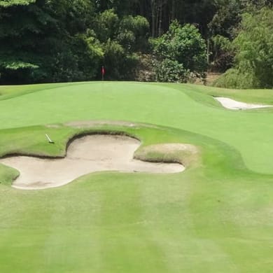 New St Andrews Golf Club (New)