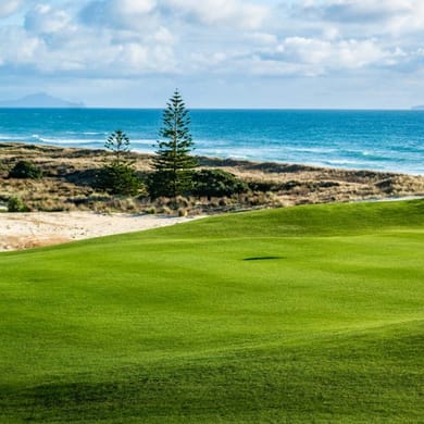 Te Arai Links (North)