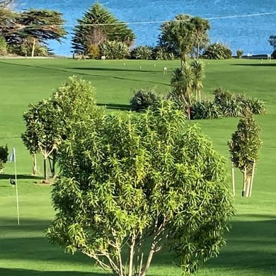 Nopera Bay Golf Club