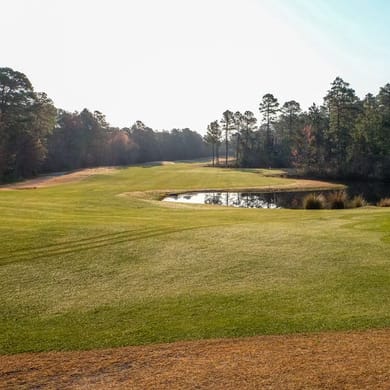 Diamondback Golf Club at Woodland Valley