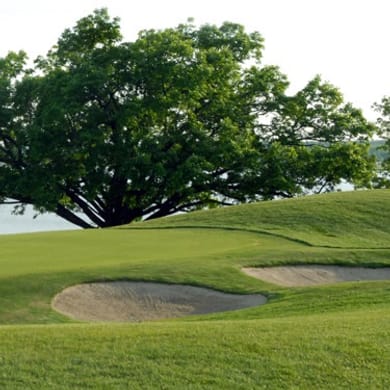 Fred Arbanas Golf Course