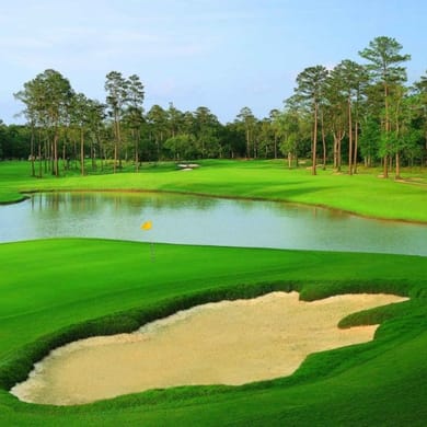 Carter Plantation Golf Resort