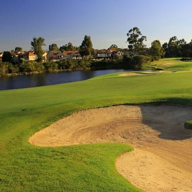 The Vines Resort & Country Club (Championship)