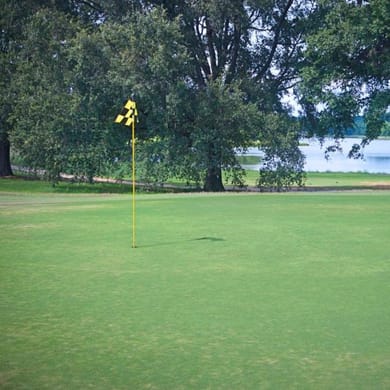 Orgill Park Golf Course