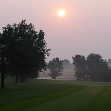 Detroit Country Club (Pine to Palm)