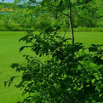 Hardwood Hills Golf Course