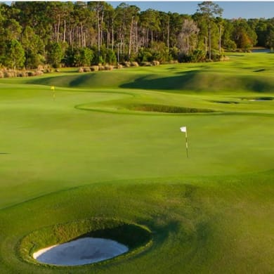 Grand Cypress Golf at Evermore Resort (Links)