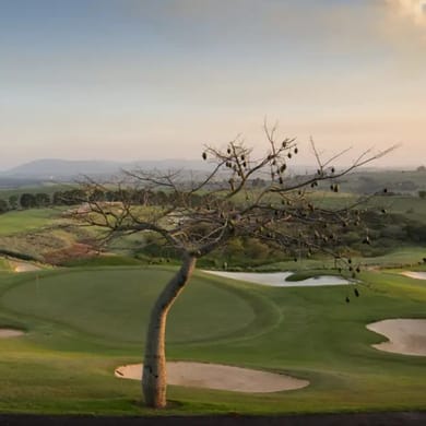 Fazenda Boa Vista (Randall Thompson)