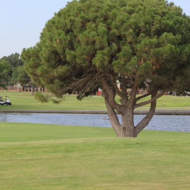 Green Tree Country Club