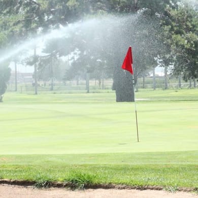 Willow Tree Golf Course