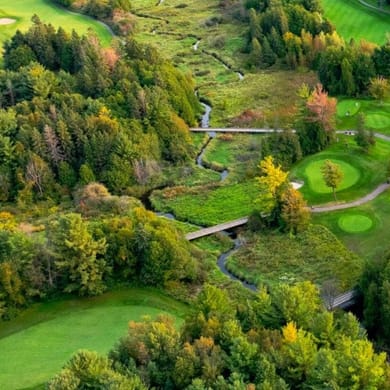 National Pines Golf Club