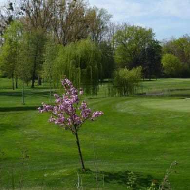 Golf Club de Strasbourg