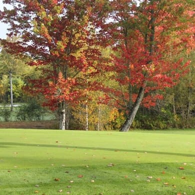 Sussex Golf & Curling Club