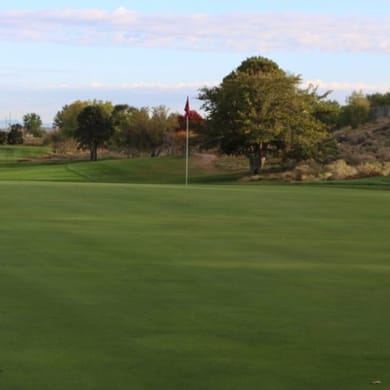 University of New Mexico (Championship)