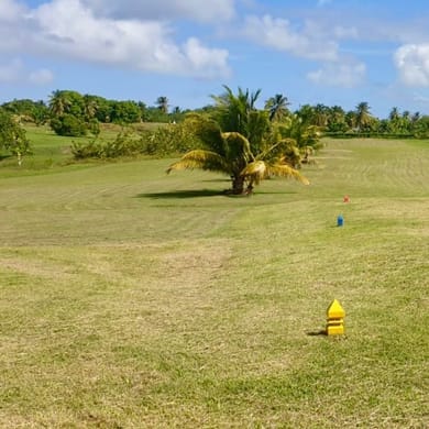 Golf École des Abymes