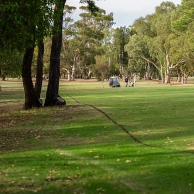 Serpentine & Districts Golf Club
