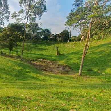 Campo de Golf Santa Barbara