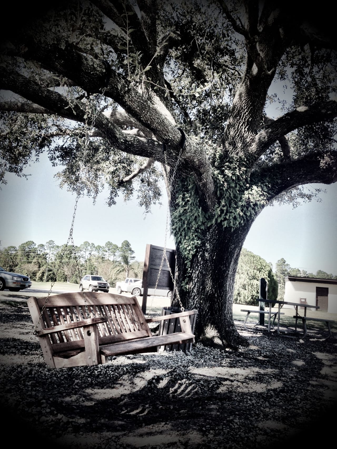 Palm Valley Golf Club