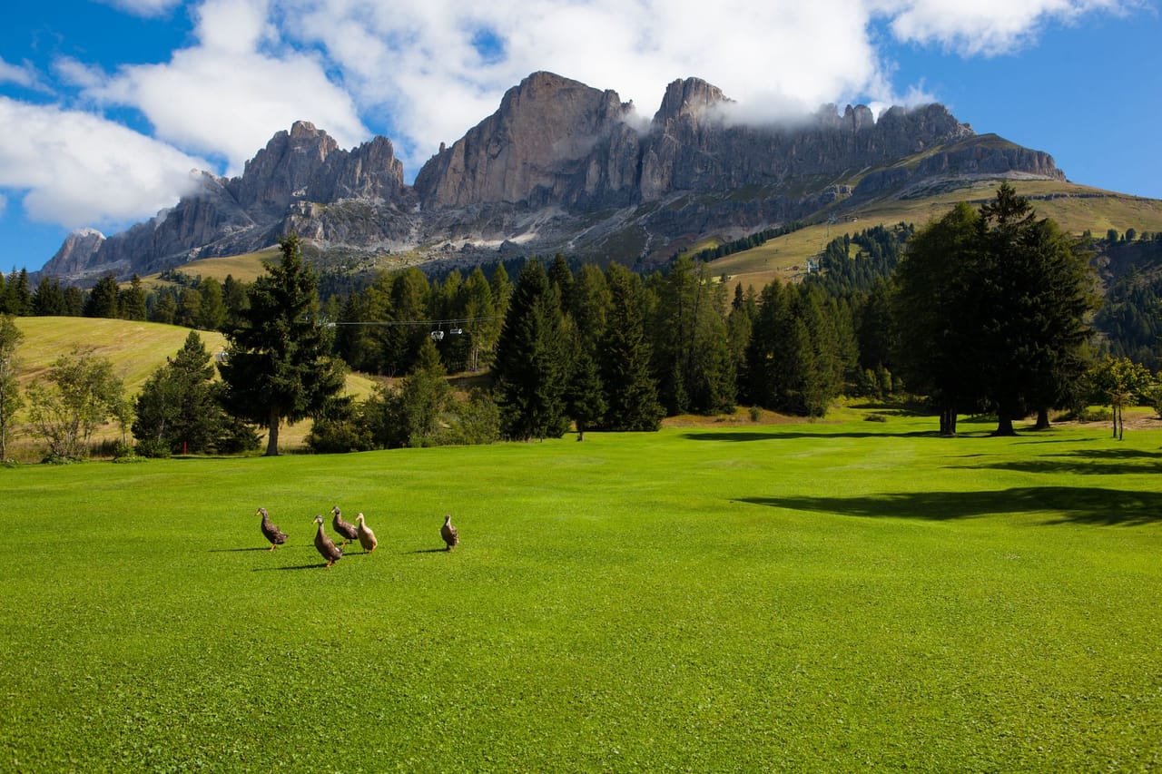 Golf Club Carezza