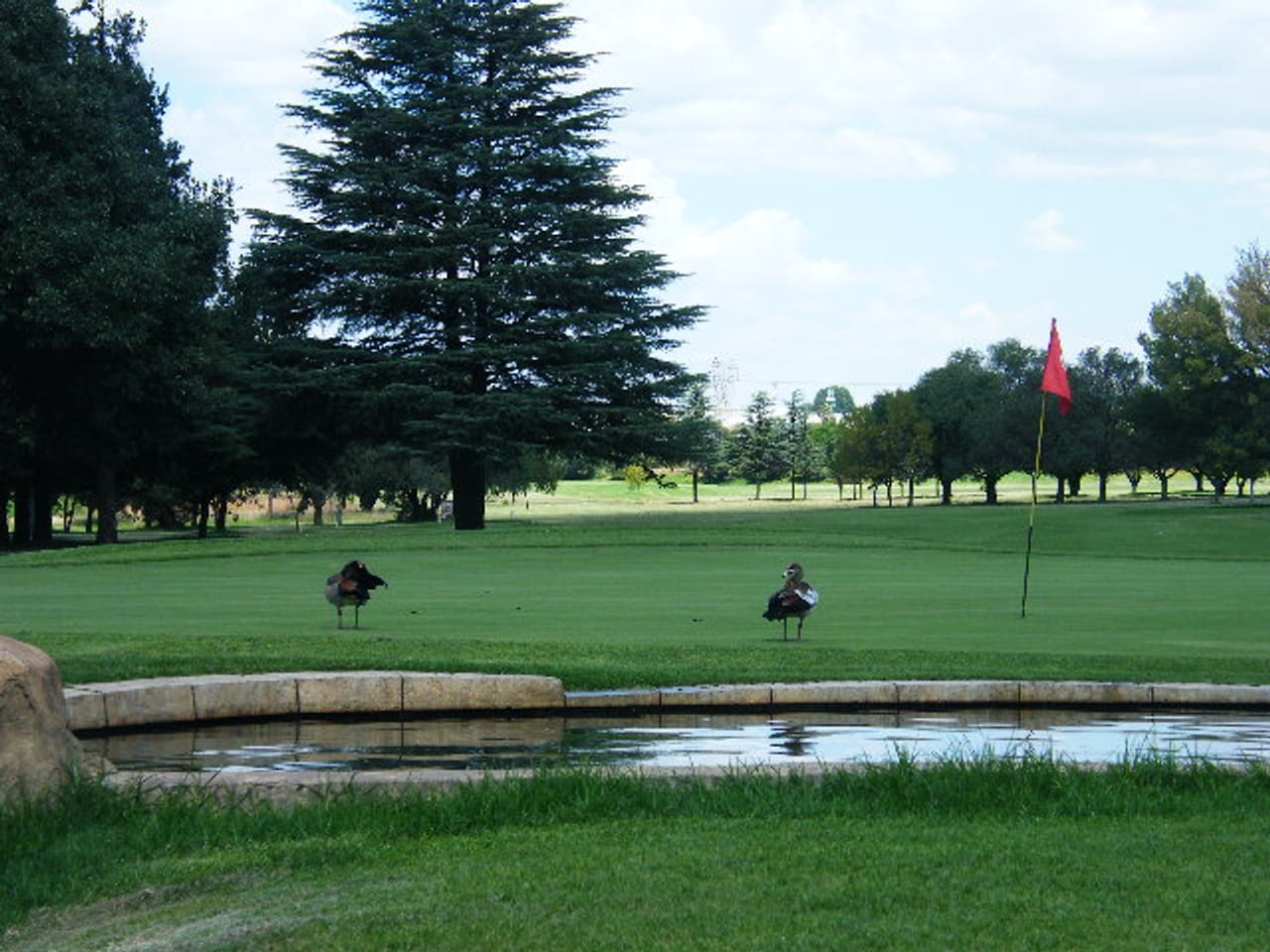 Kempton Park Golf Club