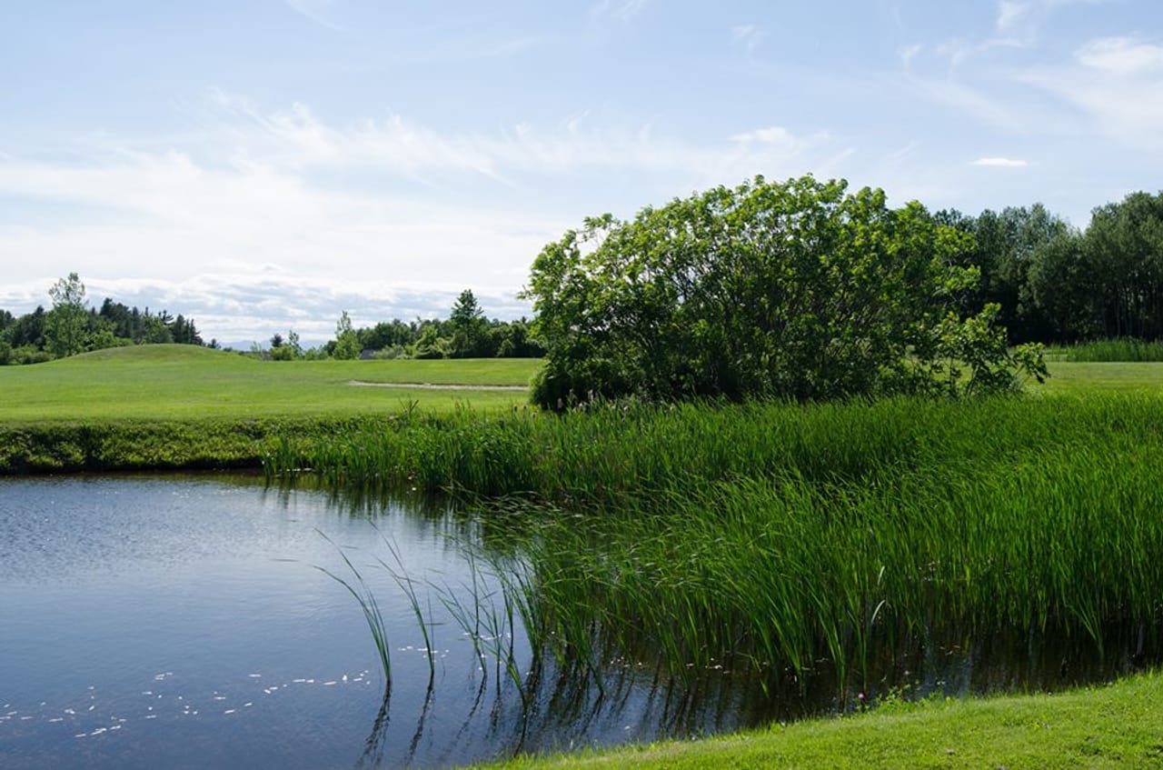 Catamount Country Club