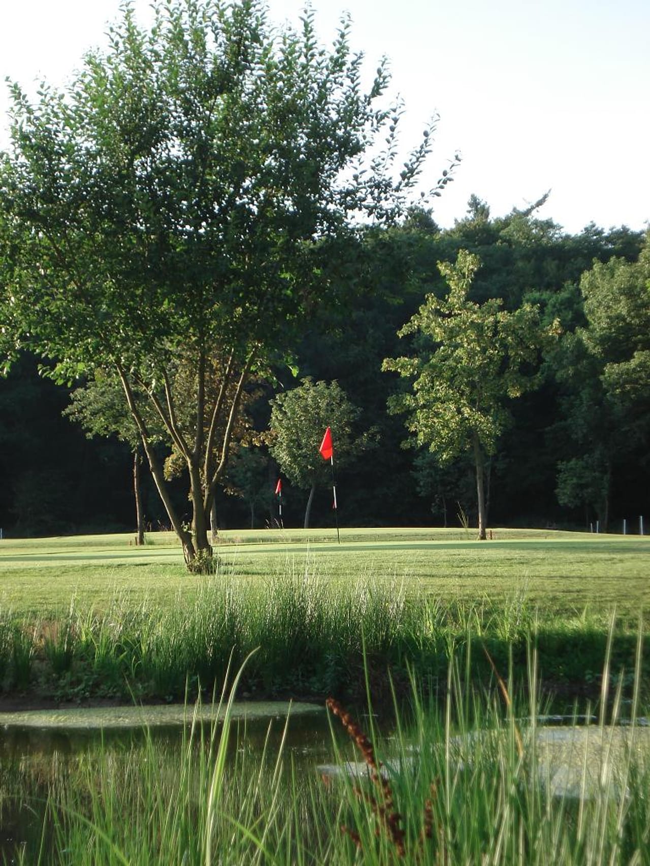 Golfclub Schloss Haag (Kurzplatz)