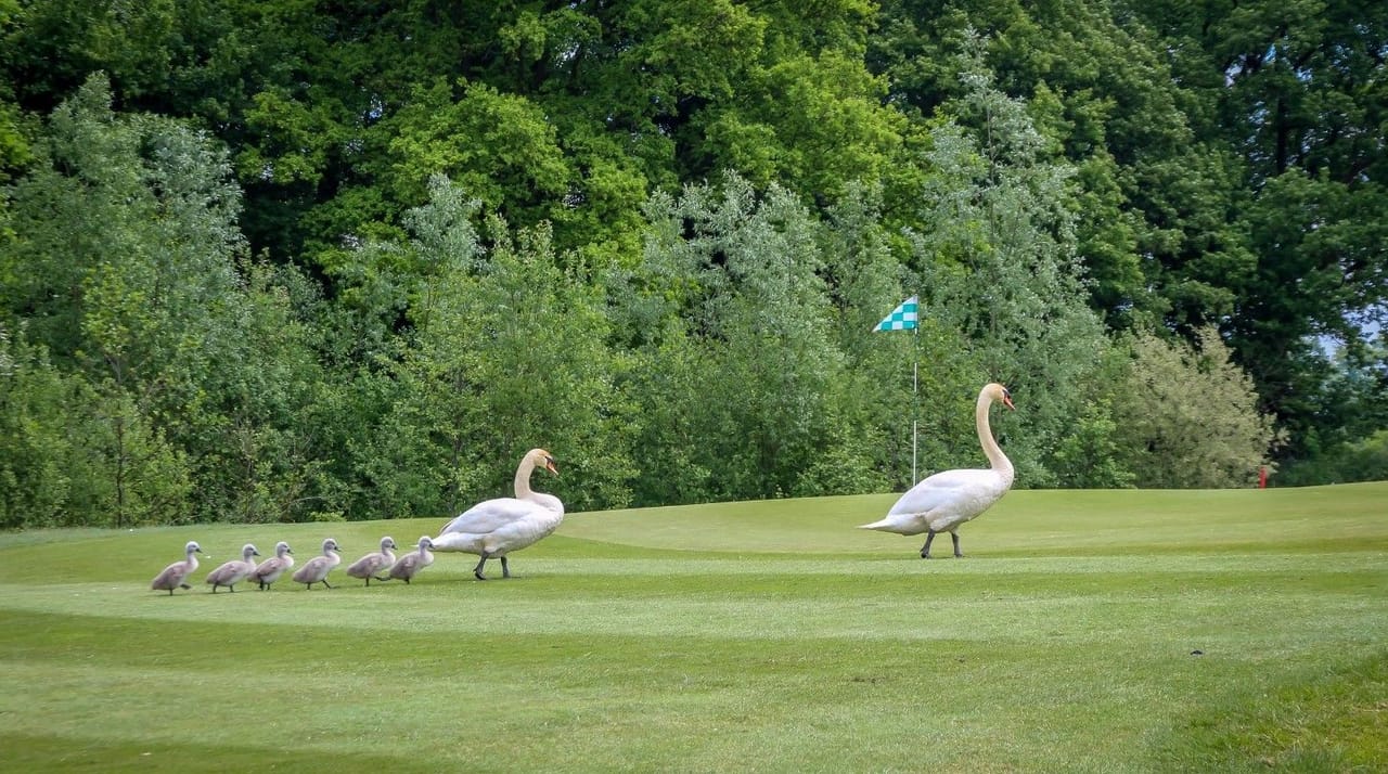 Golfclub de Lage Mors